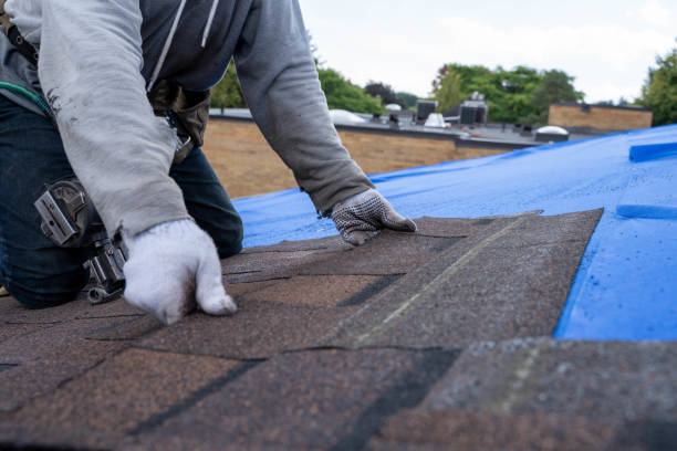 Best Sealant for Roof  in Madison, WV