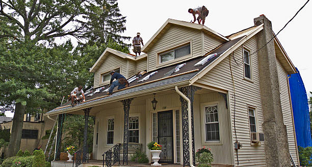 Best Roof Gutter Cleaning  in Madison, WV
